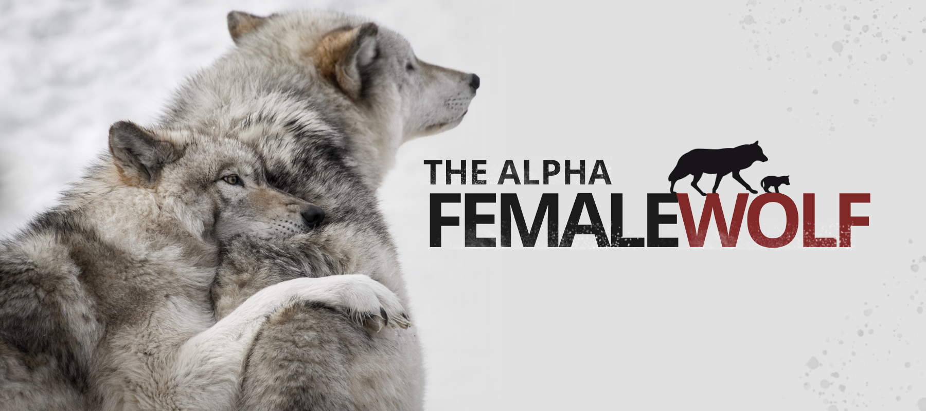 female wolf