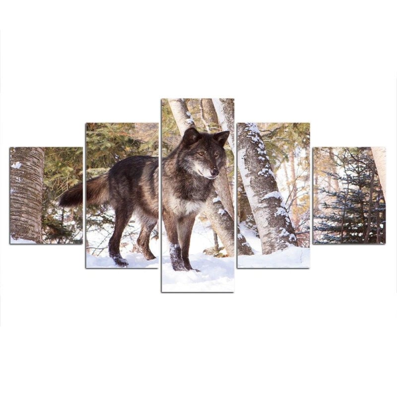 Black Wolf Canvas