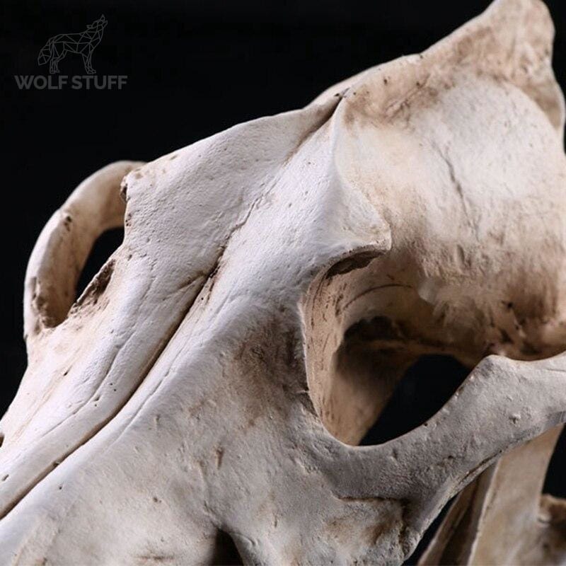 Dire Wolf Statue