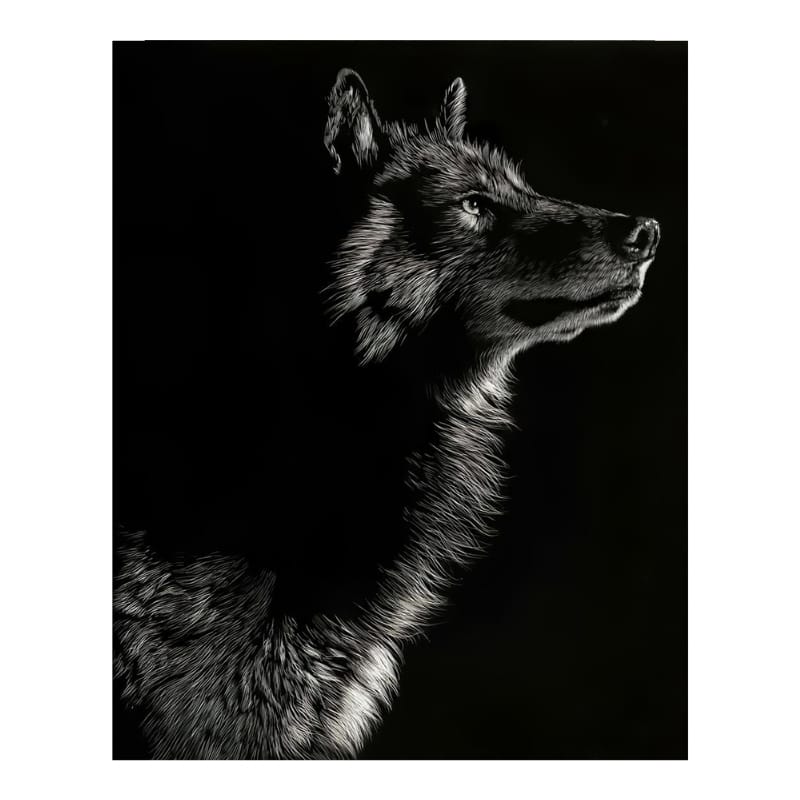 Giant wolf poster