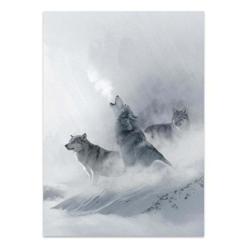 Gray wolf in snow