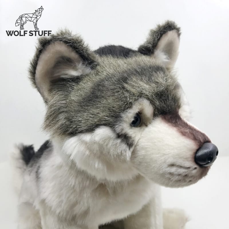 Gray wolf plush