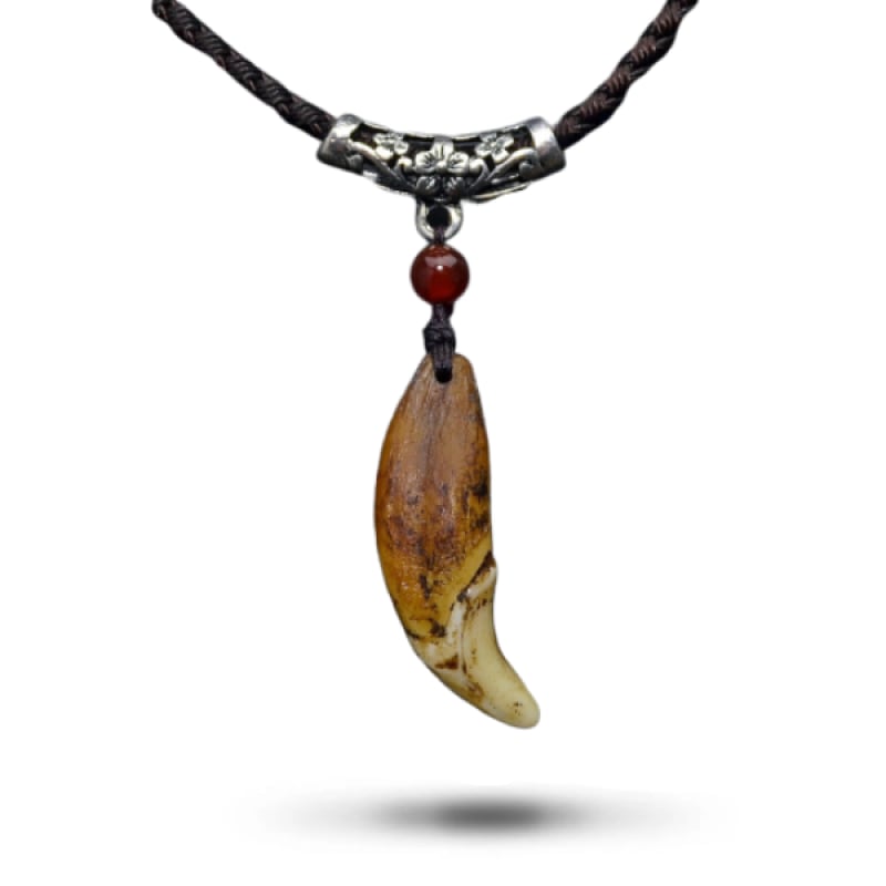 Native American Wolf Tooth Necklace