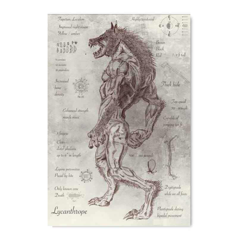 Werewolf poster