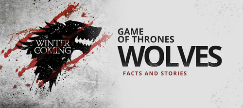 game of thrones wolf