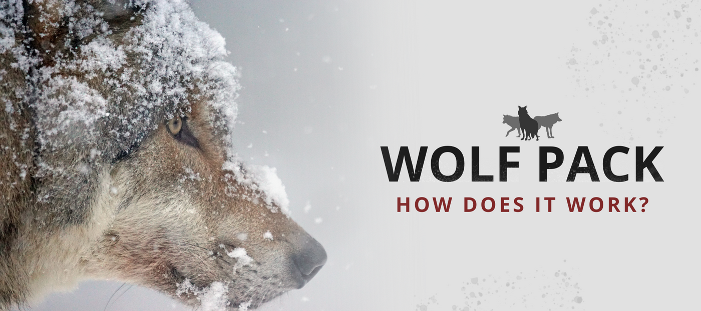 How do wolf packs work? Wolf Stuff