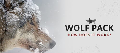 how do wolf packs work