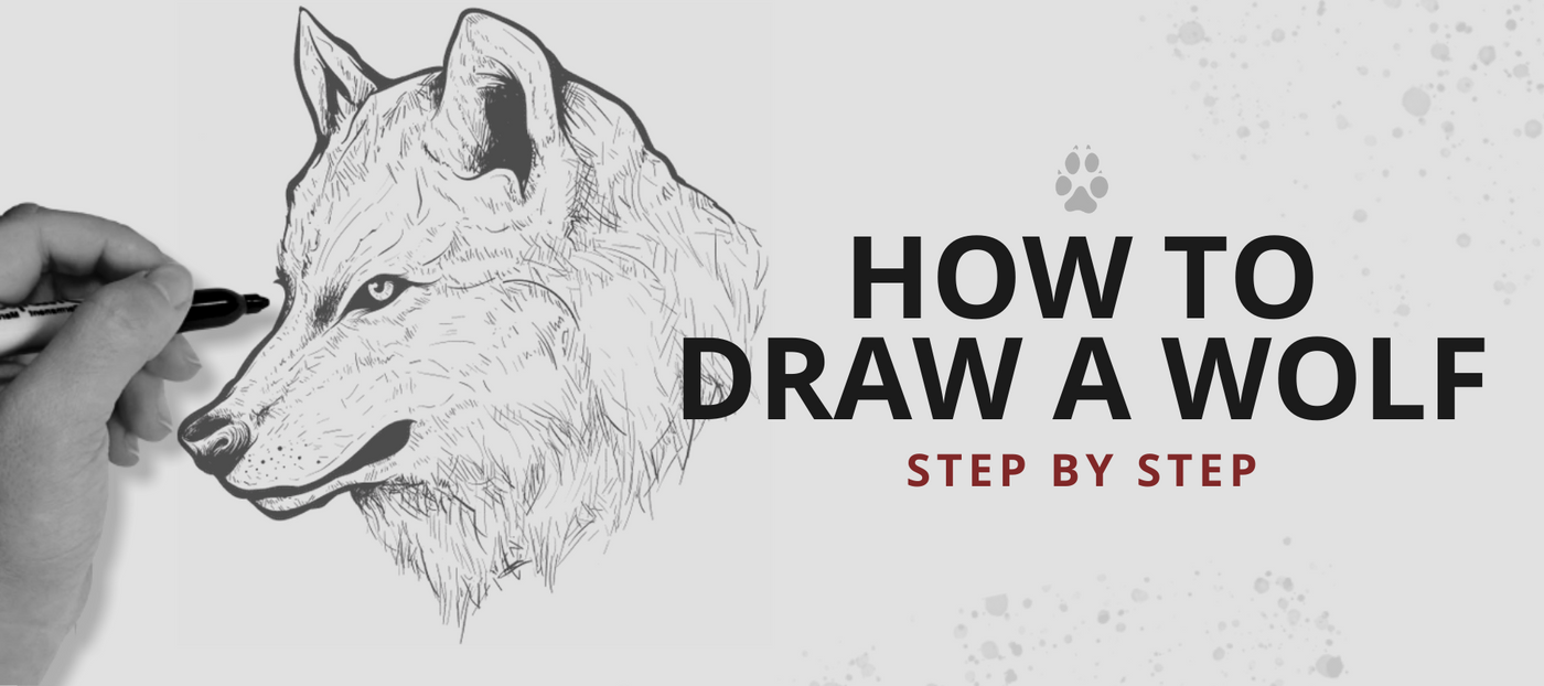 How to easily draw a wolf (Step by Step) | Wolf Stuff