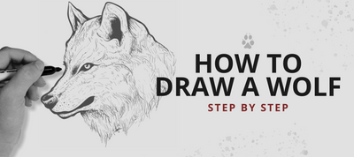 HOW TO DRAW A WOLF STEP BY STEP