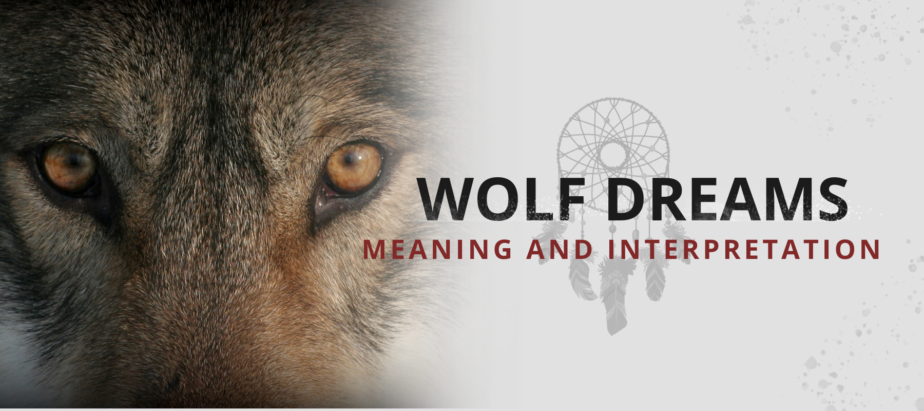 wolf dream meaning