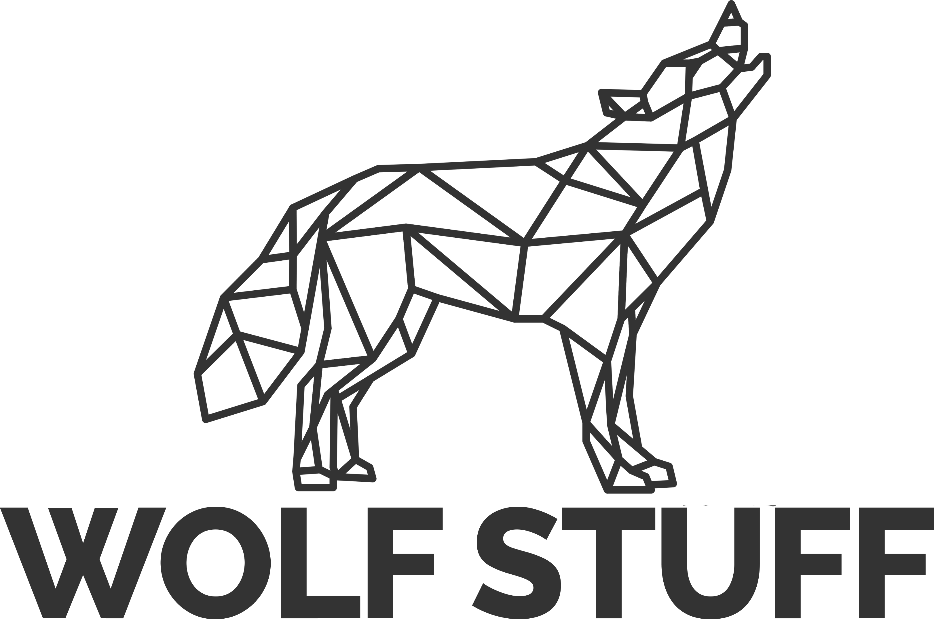 Wolf facts | All about wolves | Wolf Stuff