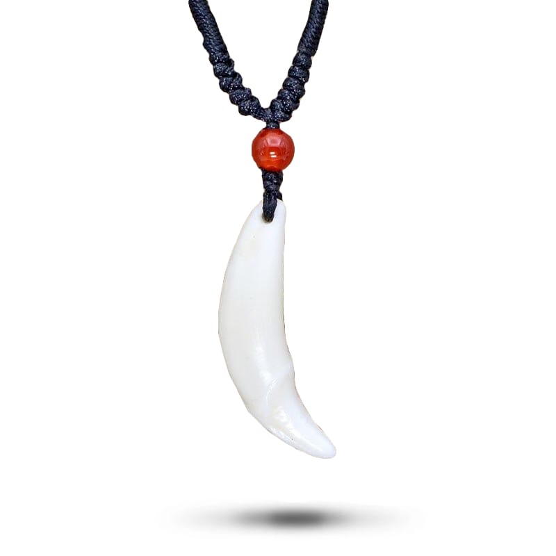 Animal tooth necklace