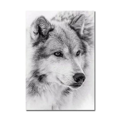 Black and white wolf poster