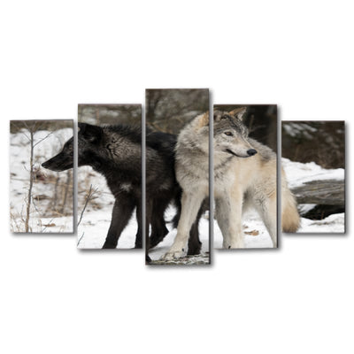 Wolf pictures for wall